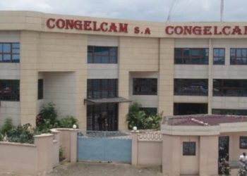 Poisson de qualité douteuse : la FOCACO écrit à Congelcam